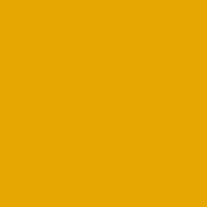 S2016 Yellow