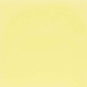 S2325 Yellow