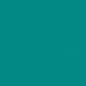 S2343 Teal