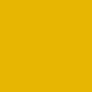 S2465 Yellow