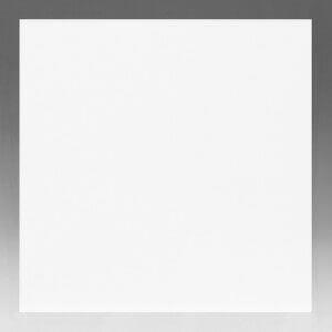 S422 White