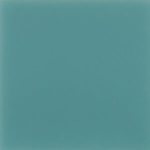 S5556 Blue
